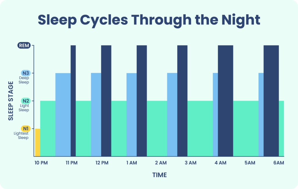 Sleep stages across the night