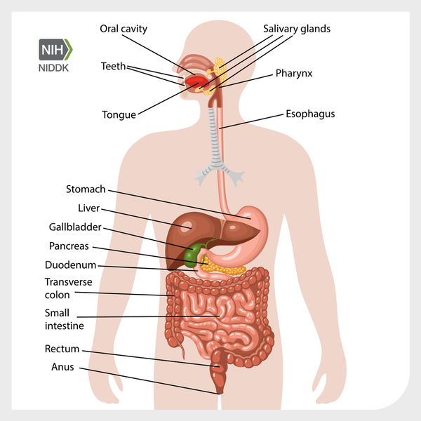FB MAY24 WorldDigestiveDay thumbnail