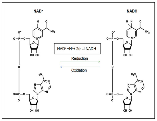 nutrients 17 01855 g001 550 nutrients 17 01855 g001 550