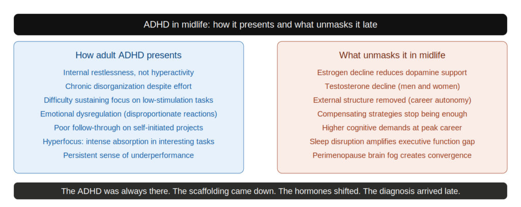 EF 13 adhd midlife