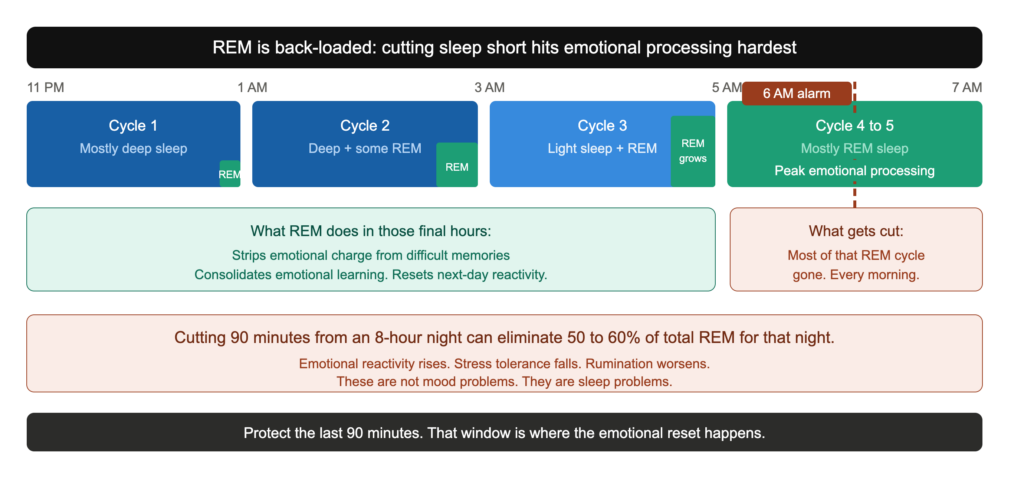 SL 12 rem sleep distribution revised SL 12 rem sleep distribution revised
