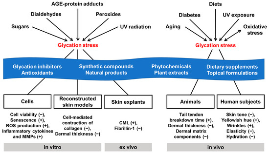 antioxidants 14 00498 g001 550 antioxidants 14 00498 g001 550