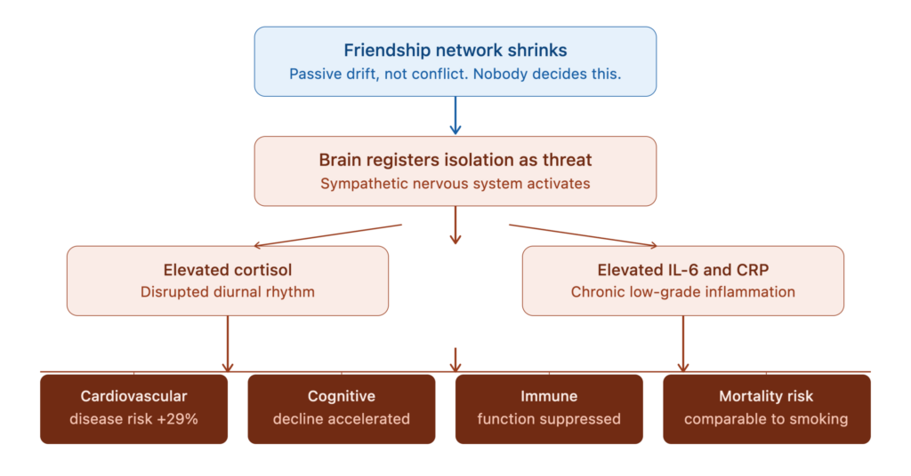 friendship collapse health pathway friendship collapse health pathway