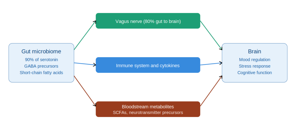 gut brain axis