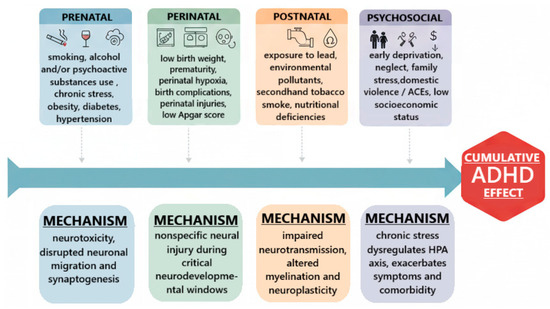 ijms 26 11020 g001 550 ijms 26 11020 g001 550