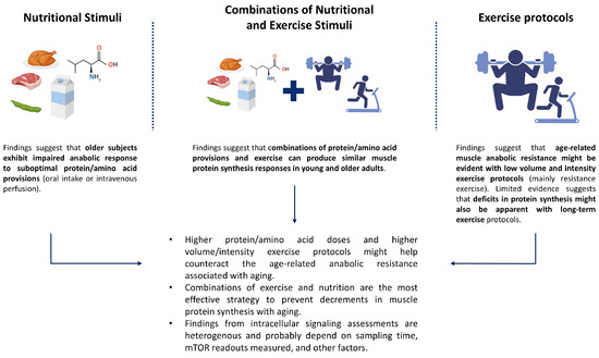 nutrients 17 03503 g001 550