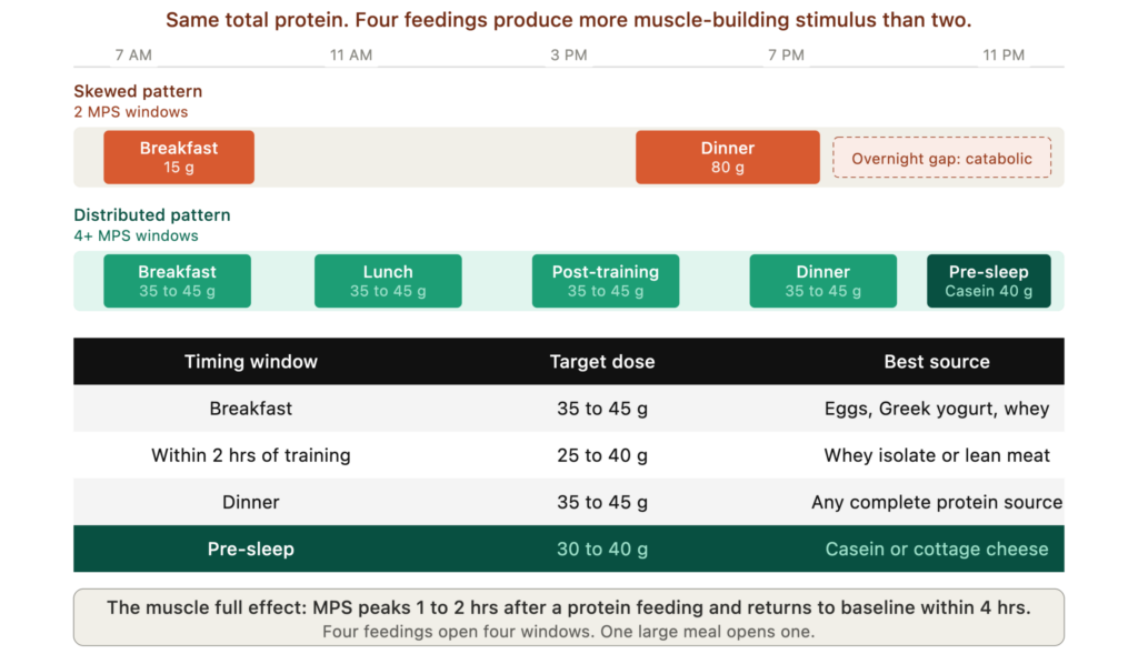 protein timing mps windows protein timing mps windows