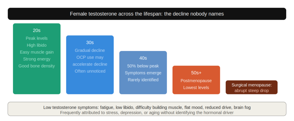 testosterone women decline testosterone women decline