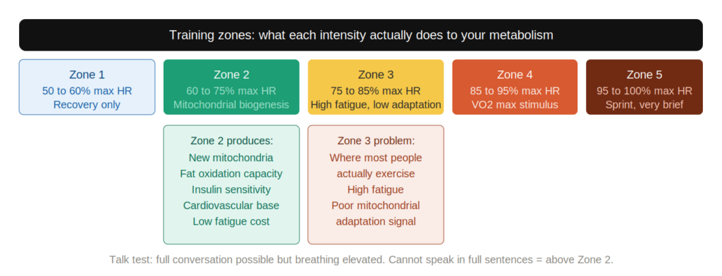 zone2 training zones zone2 training zones