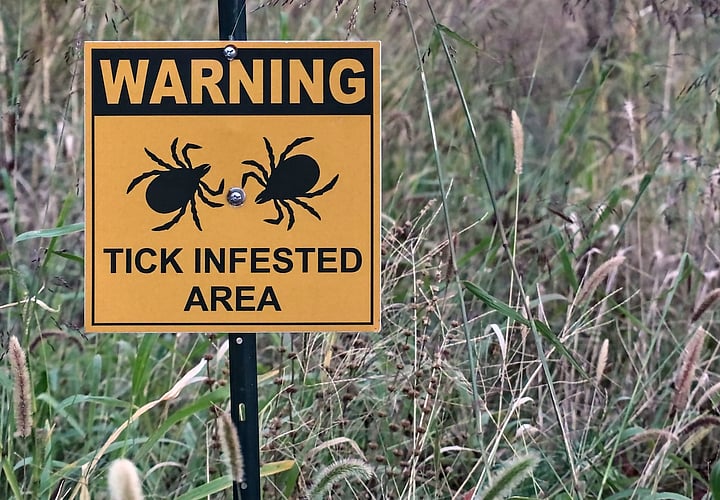 Tick-Borne Meat Allergy Raises Blood Transfusion Reaction Risk