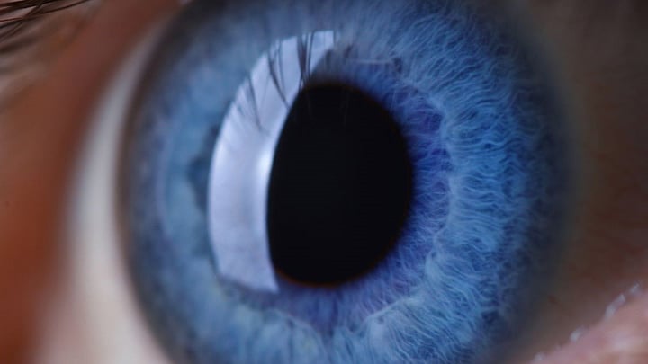 Air Pollution Linked To Higher Odds Of Glaucoma And Cataracts