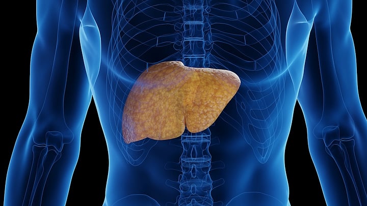 Late-Night Snacking May Be Bad For Your Liver
